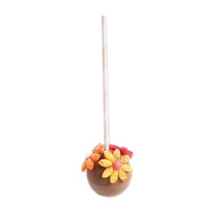 Schoggi Pop Herbst